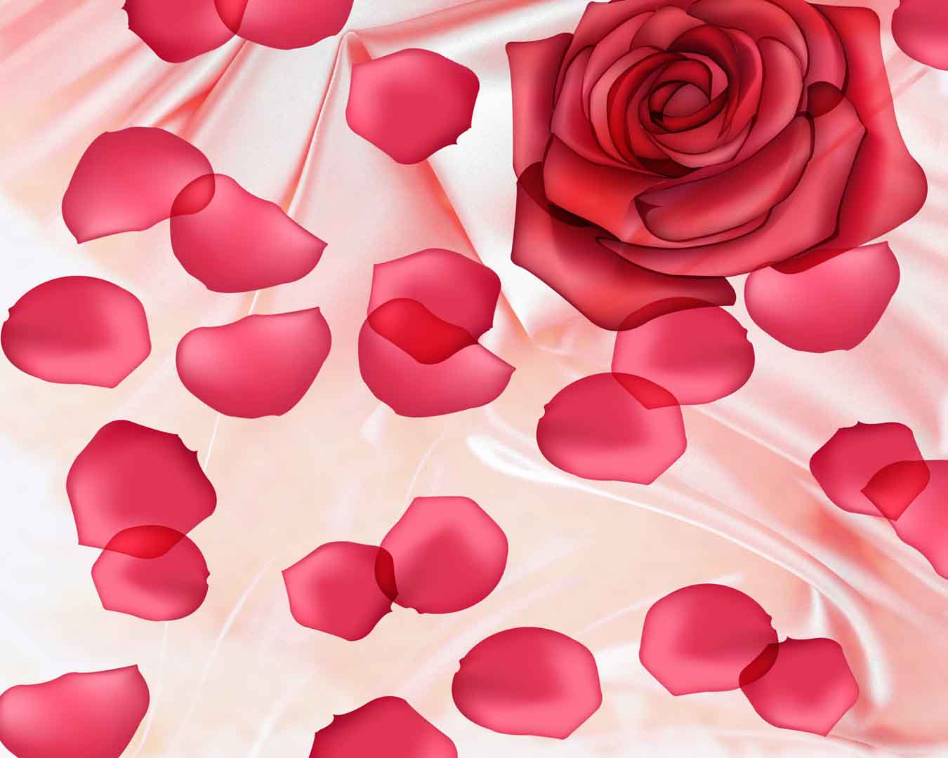 VIPcorel.com_10891.jpg