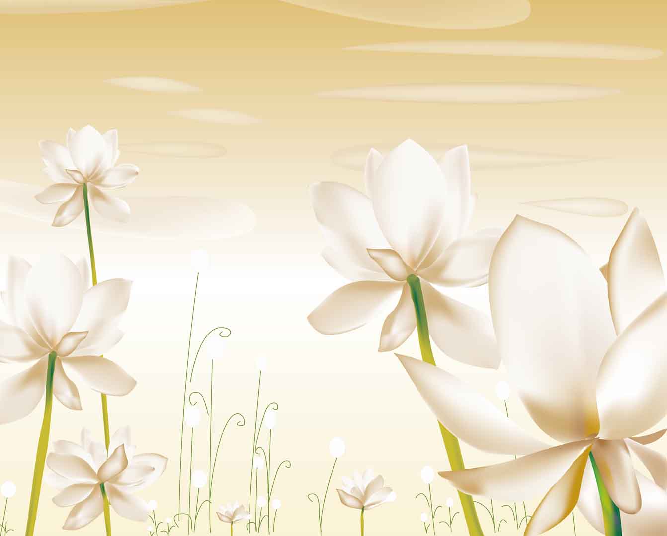 VIPcorel.com_10893.jpg