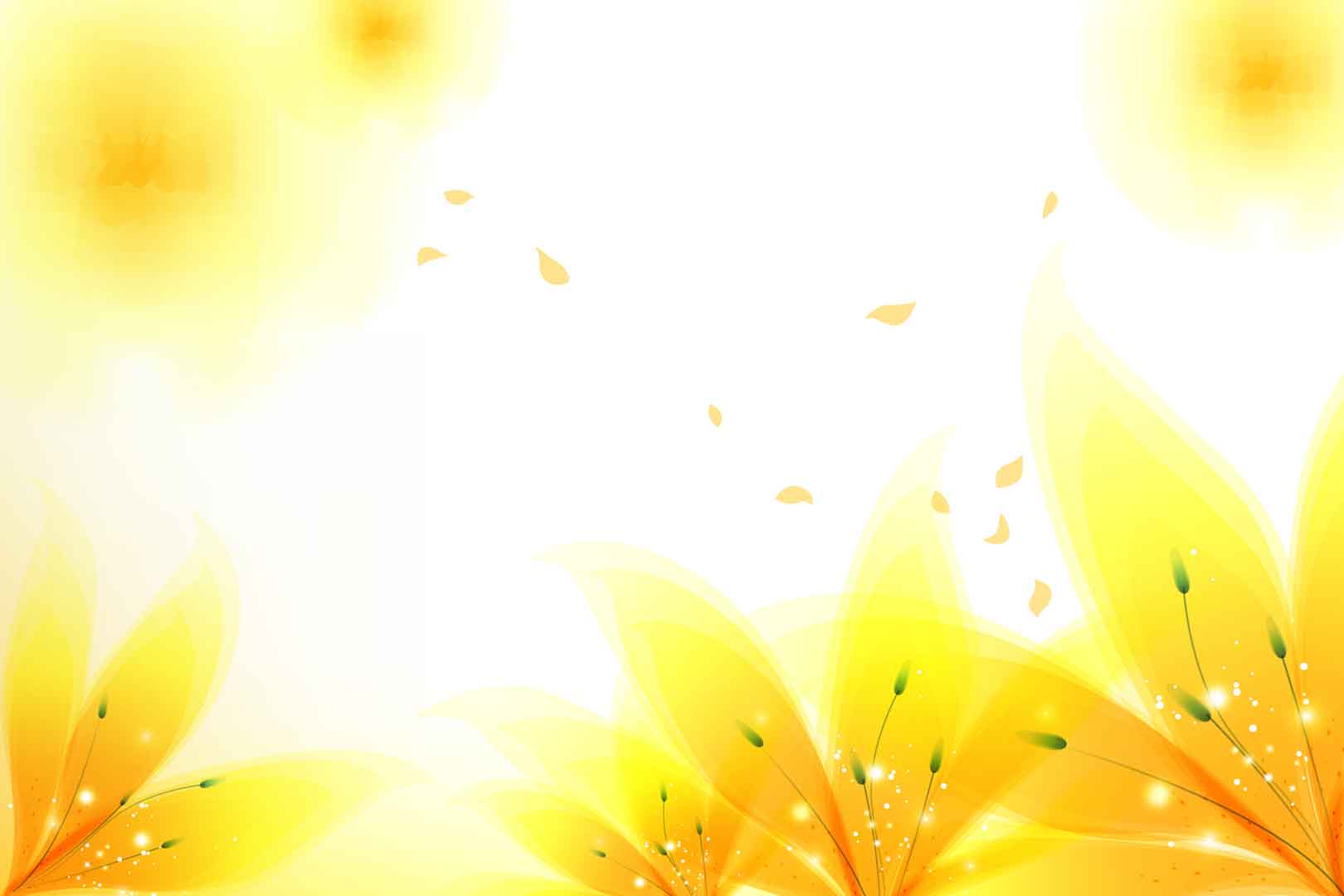 VIPcorel.com_10896.jpg