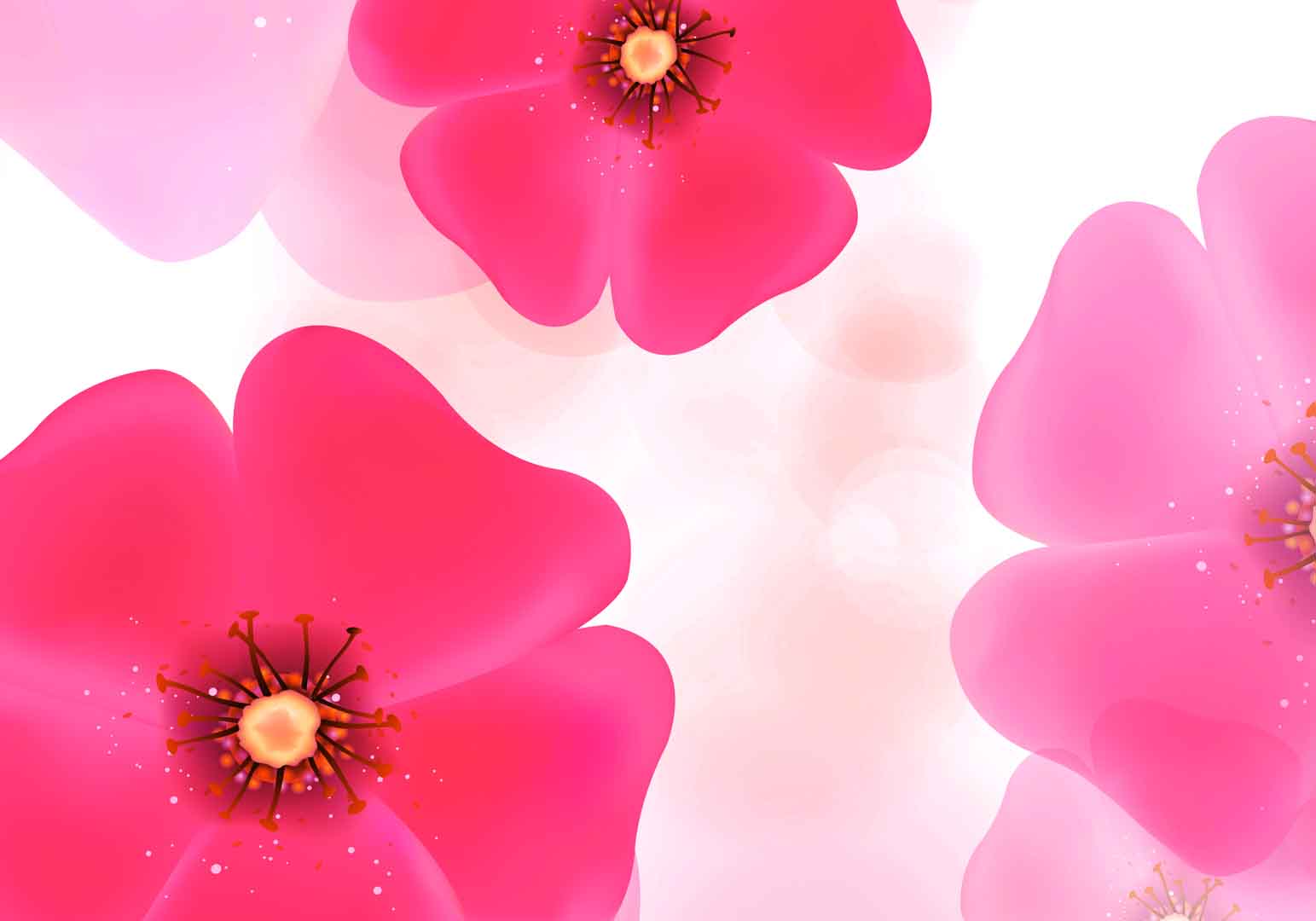 VIPcorel.com_10898.jpg