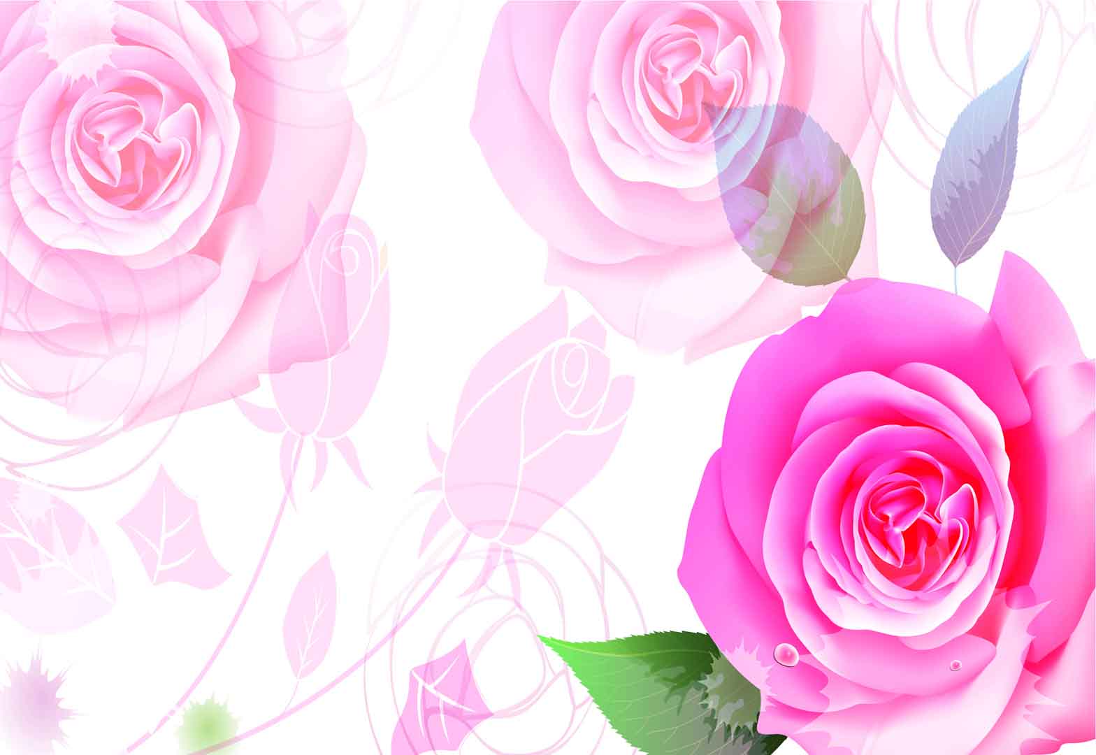 VIPcorel.com_10899.jpg
