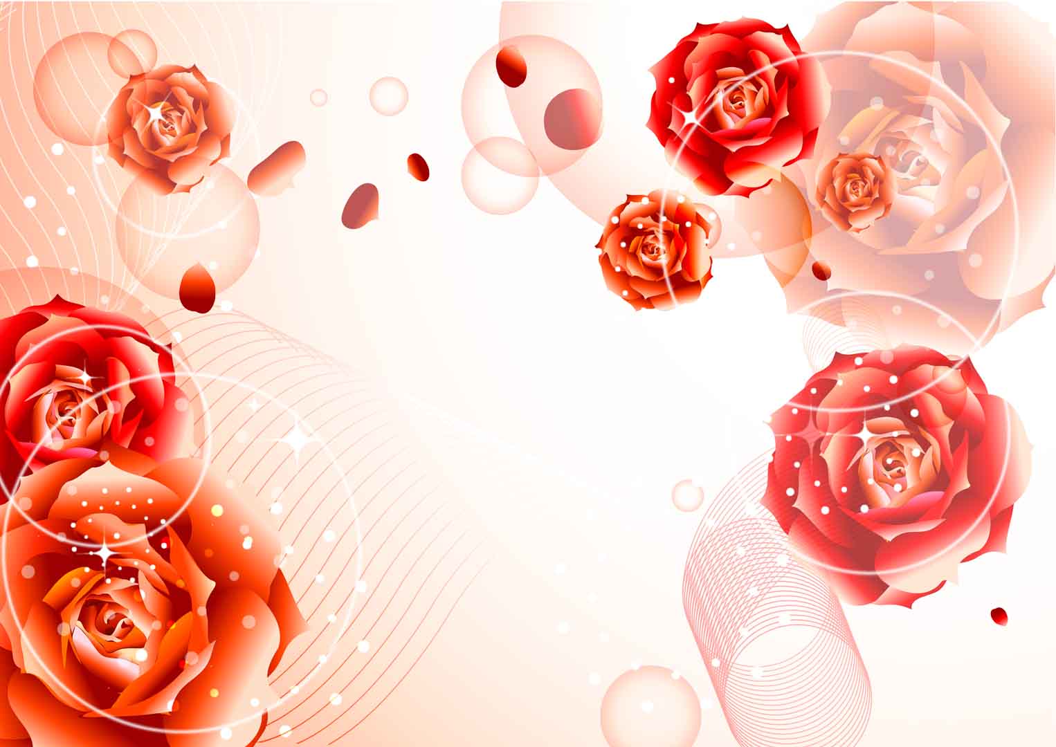 VIPcorel.com_10901.jpg