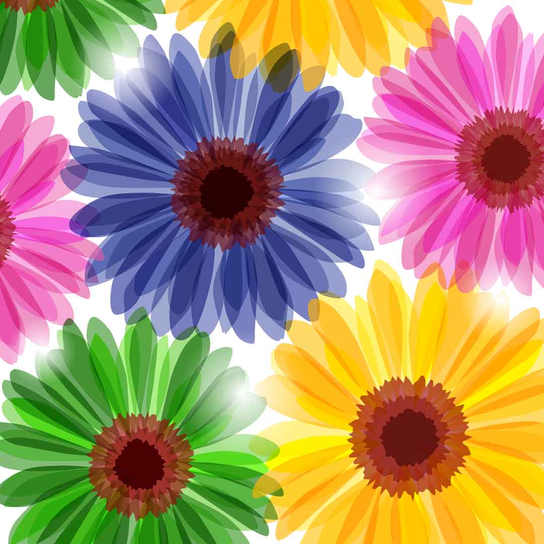 VIPcorel.com_10902.jpg