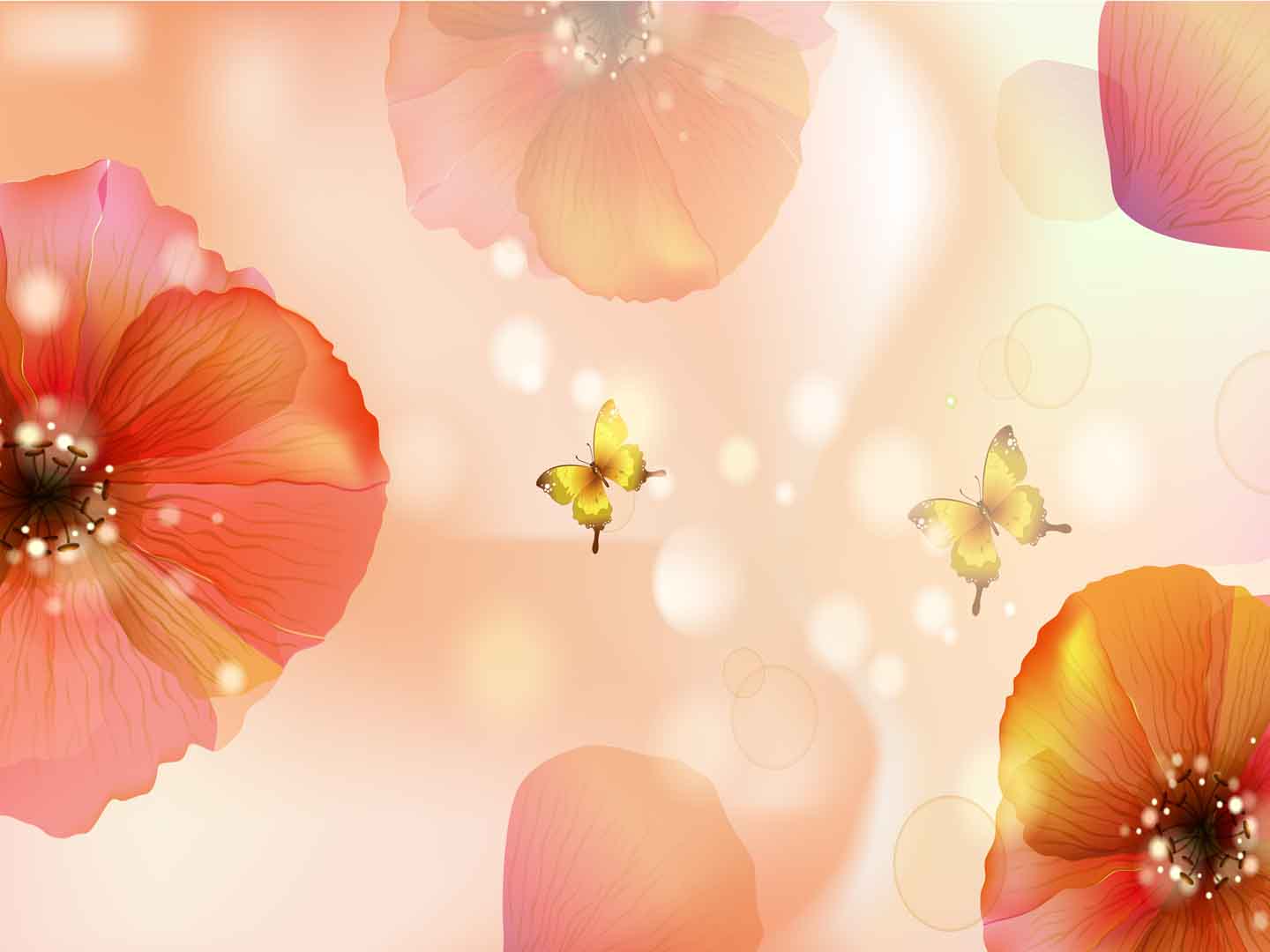VIPcorel.com_10903.jpg