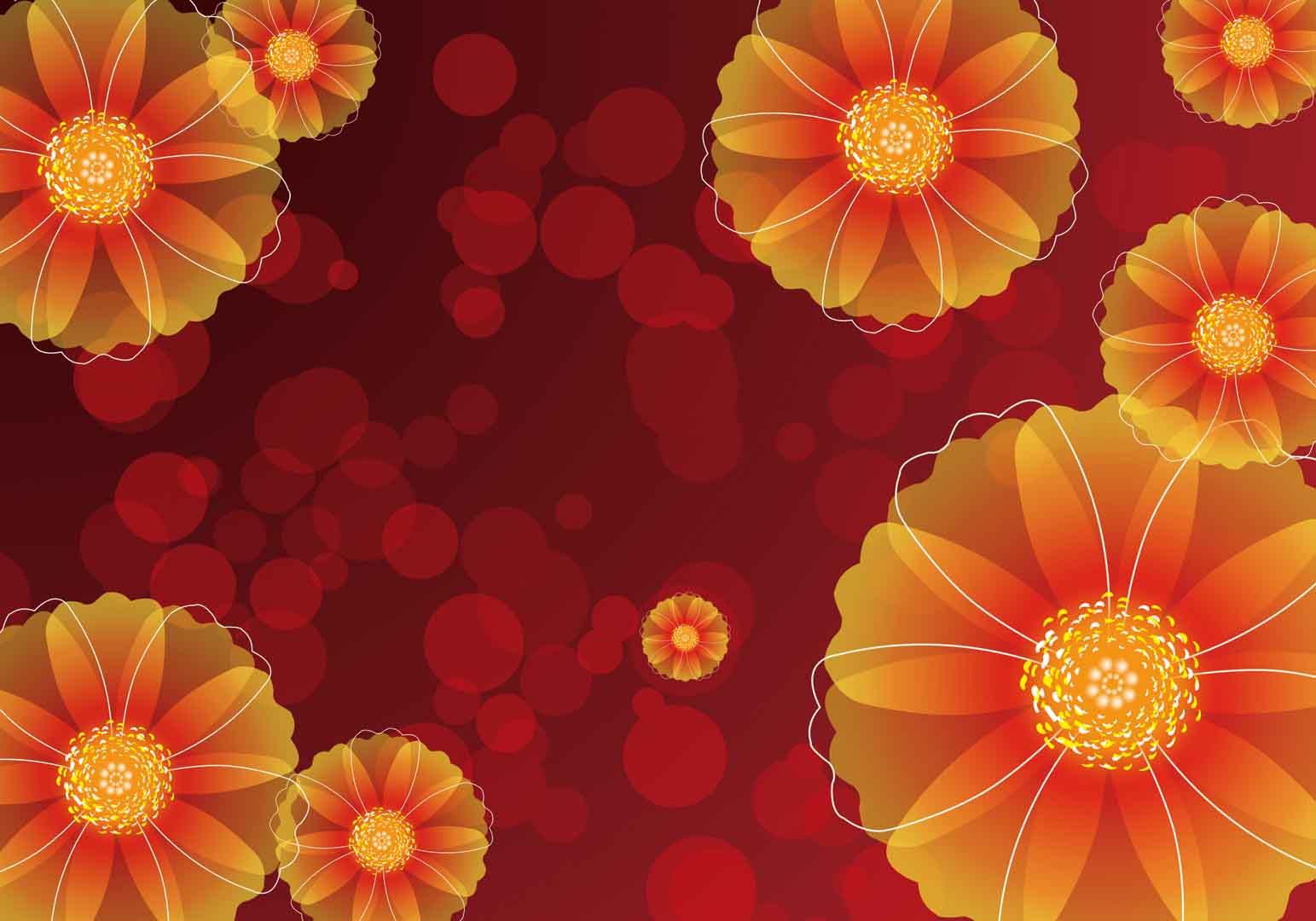 VIPcorel.com_10906.jpg