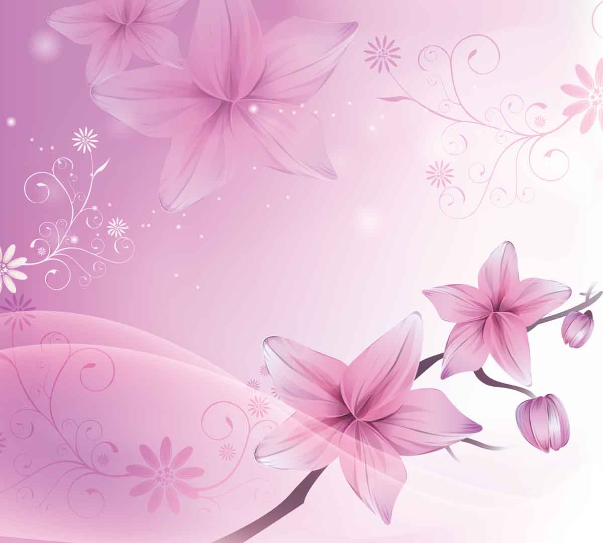 VIPcorel.com_10908.jpg