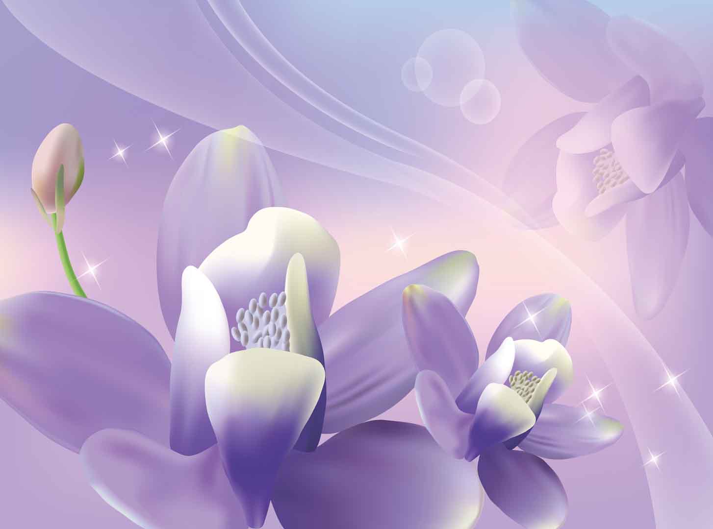 VIPcorel.com_10916.jpg