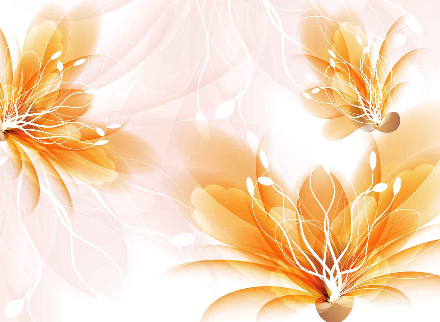 VIPcorel.com_10928.jpg
