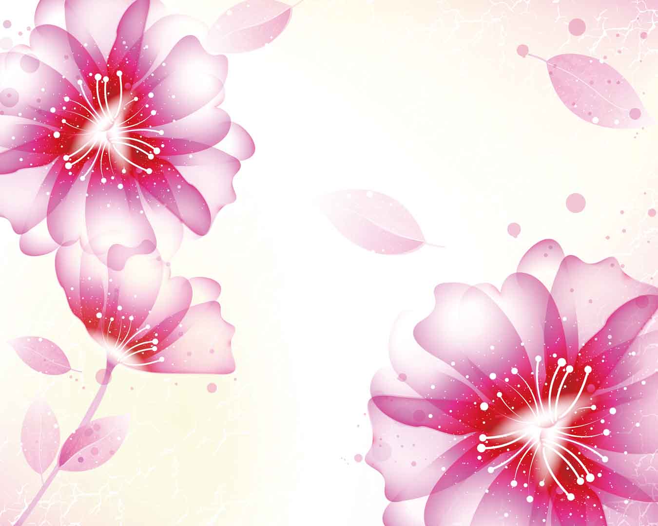 VIPcorel.com_10933.jpg
