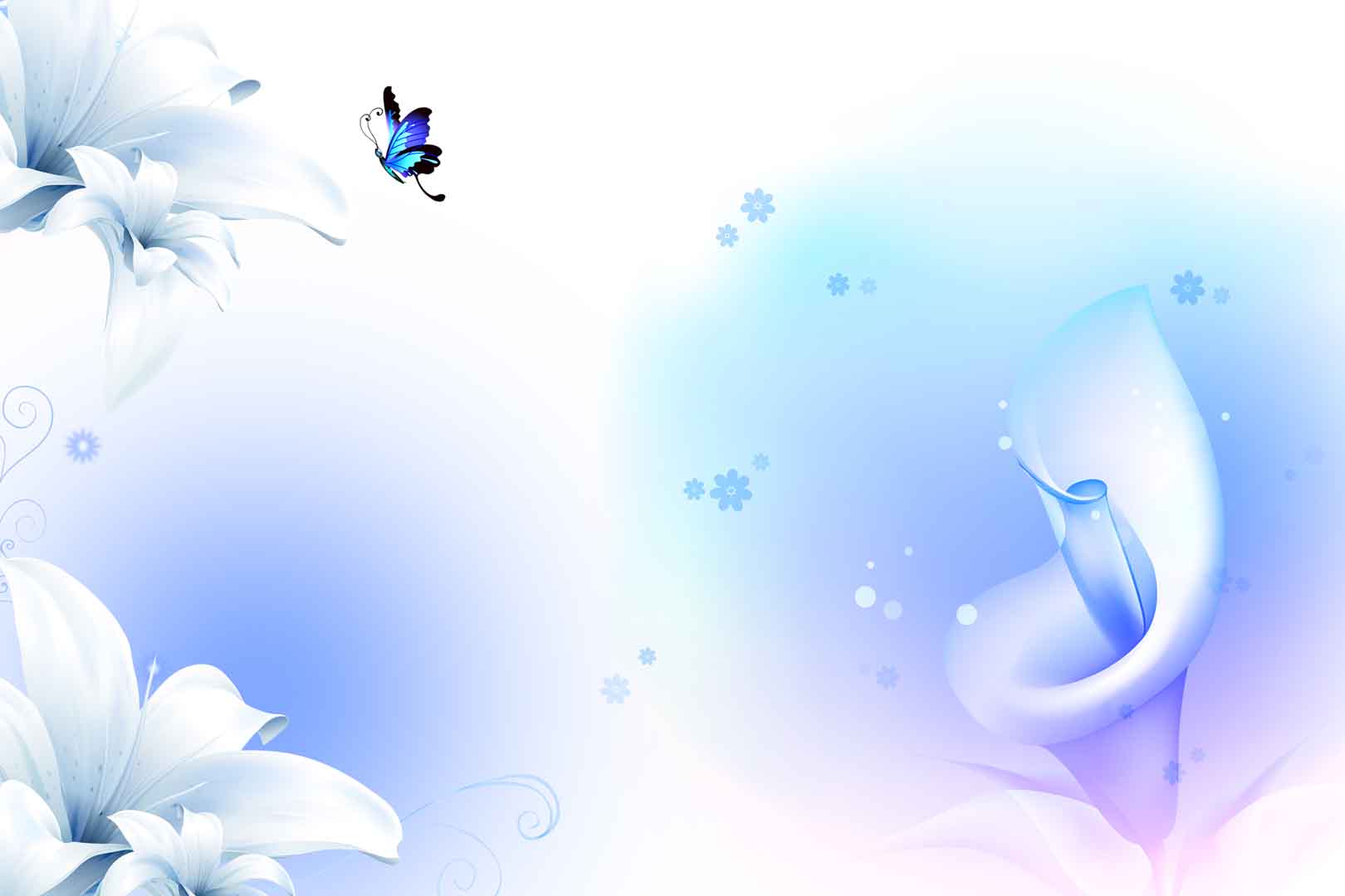 VIPcorel.com_10939.jpg