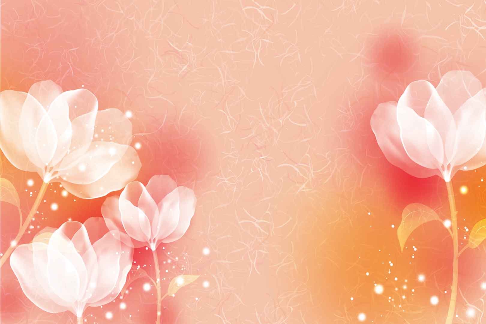 VIPcorel.com_10941.jpg