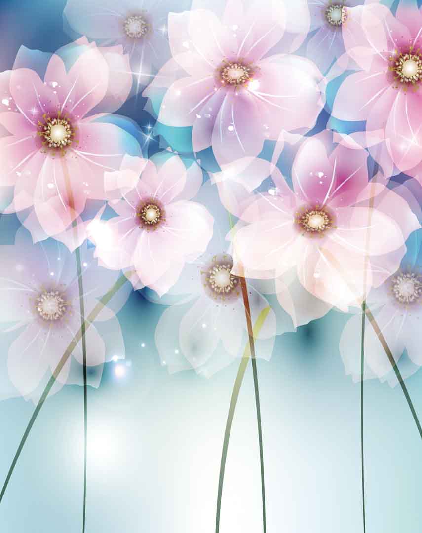 VIPcorel.com_10942.jpg