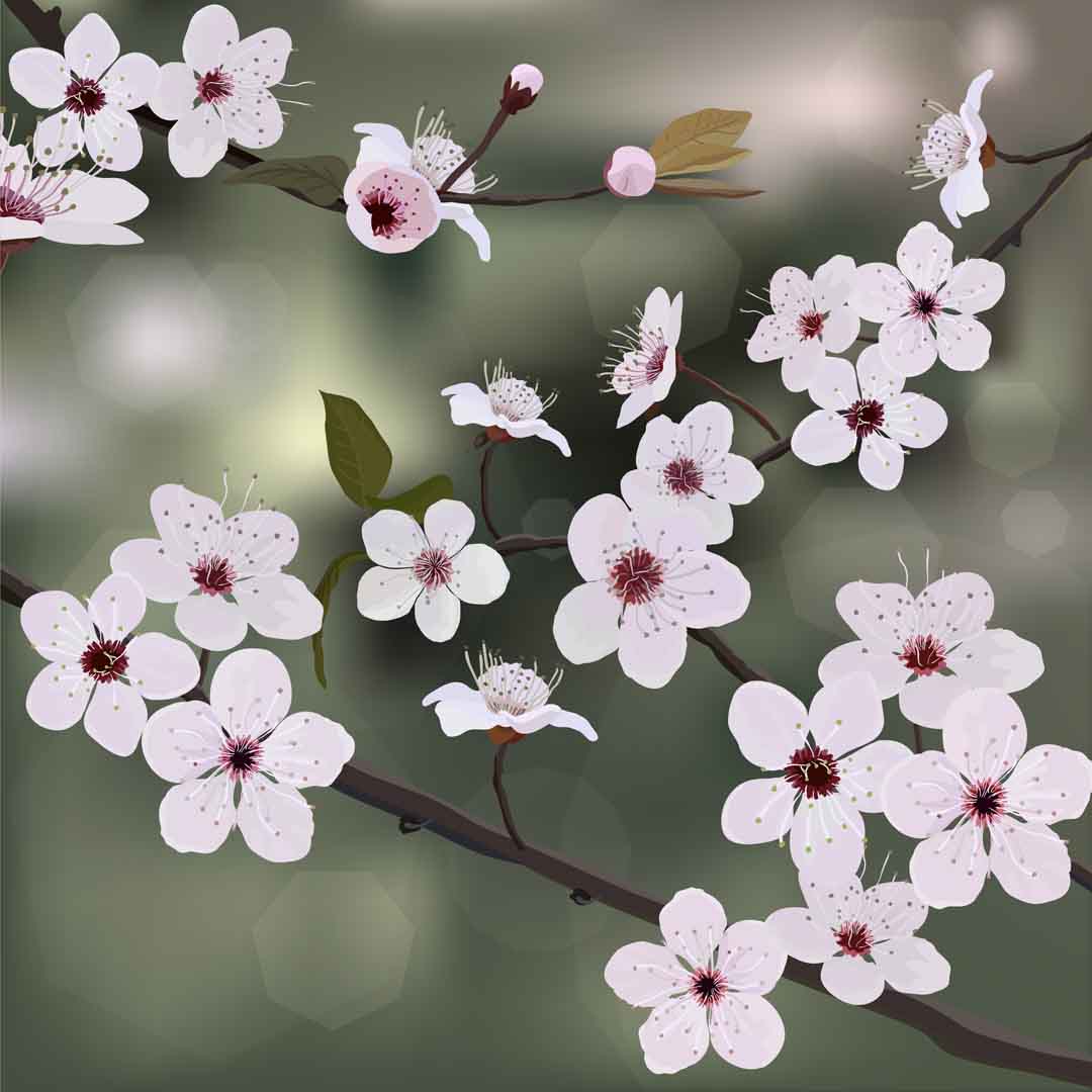 VIPcorel.com_10943.jpg