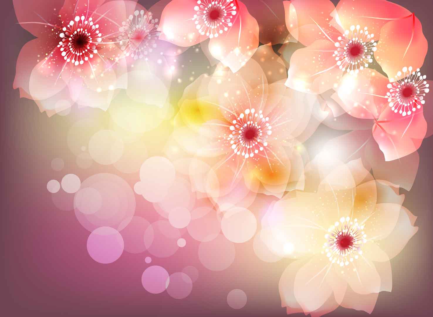 VIPcorel.com_10944.jpg