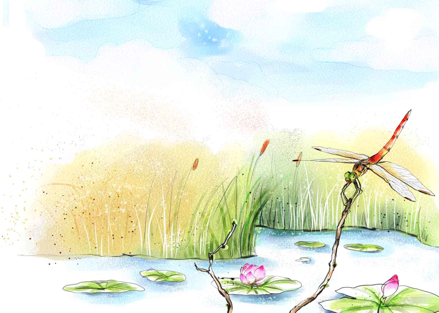 VIPcorel.com_11091.jpg