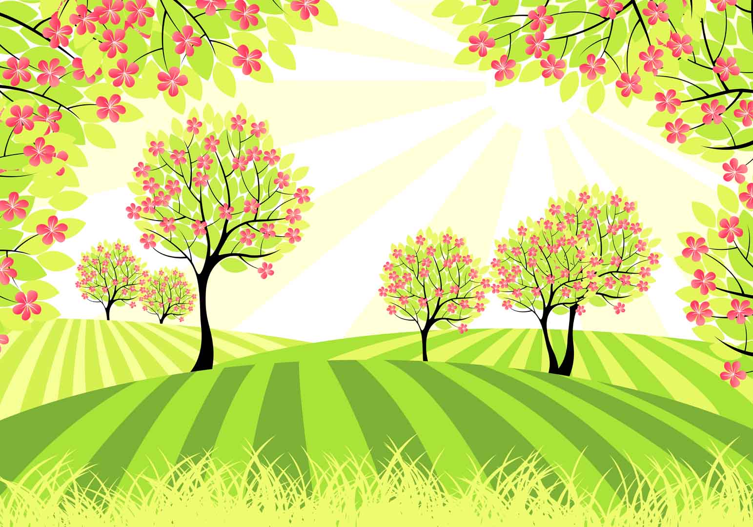 VIPcorel.com_11112.jpg