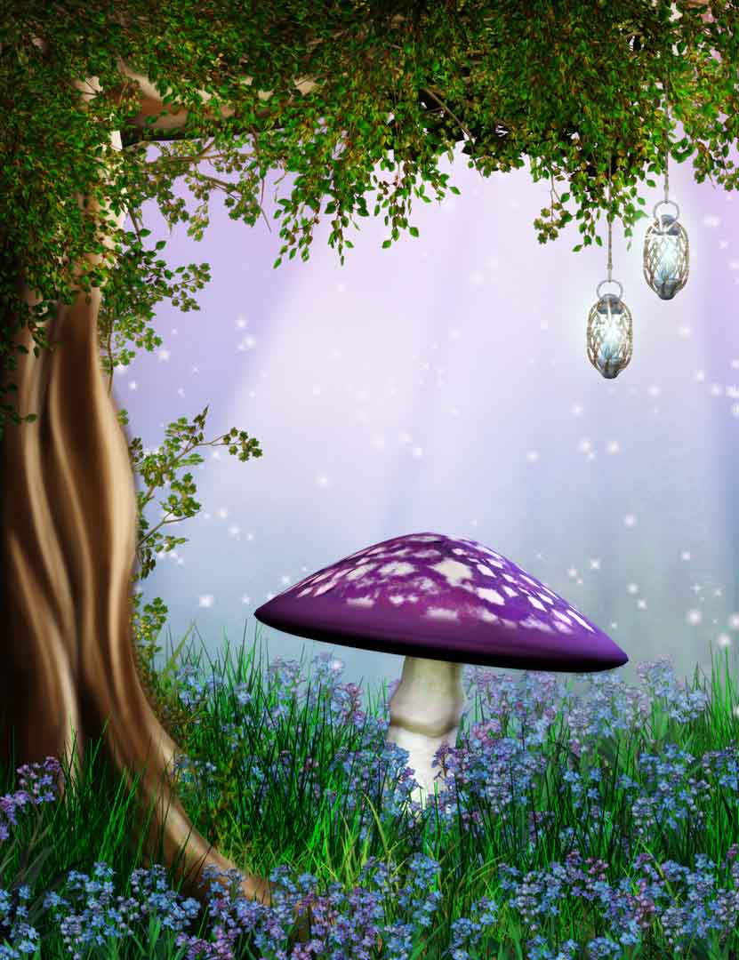 VIPcorel.com_11118.jpg