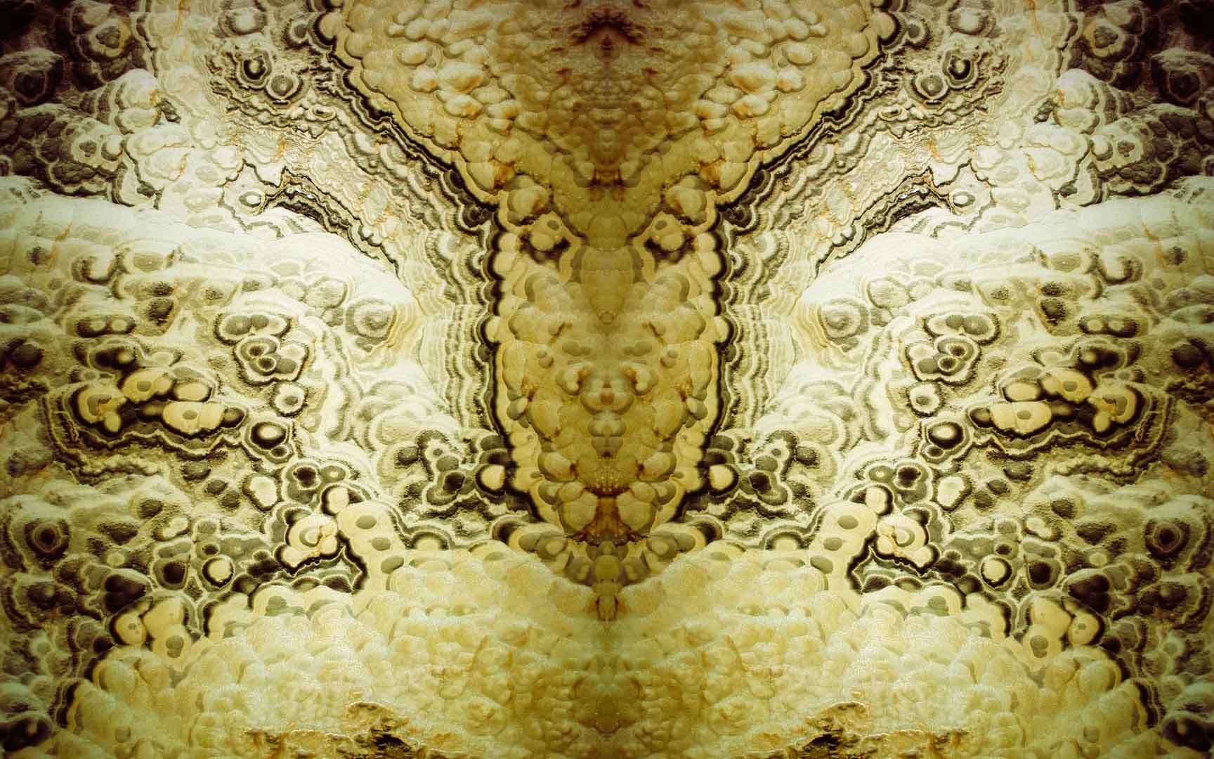 VIPcorel.com_11328.jpg