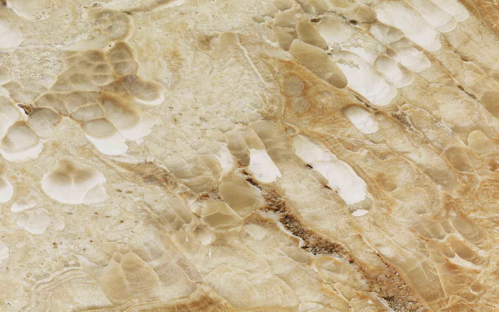 VIPcorel.com_11358.jpg