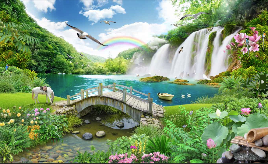 VIPcorel.com_11397.png