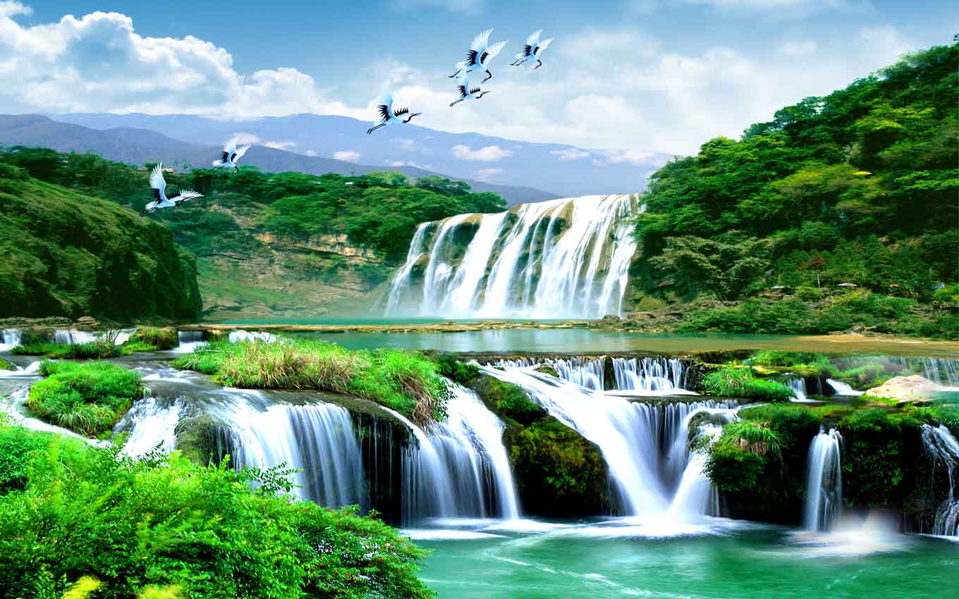 VIPcorel.com_11398.jpg