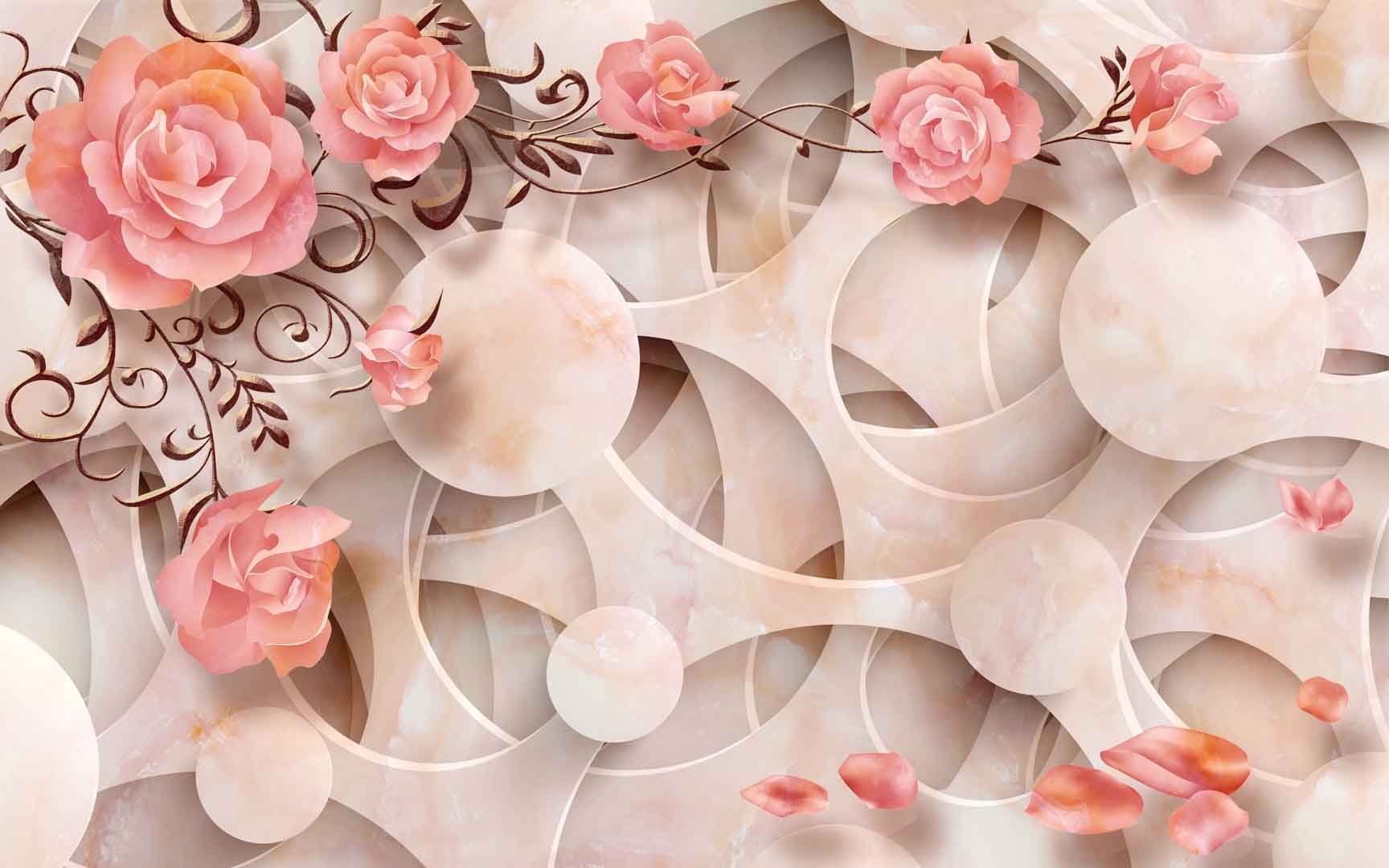 VIPcorel.com_11429.jpg