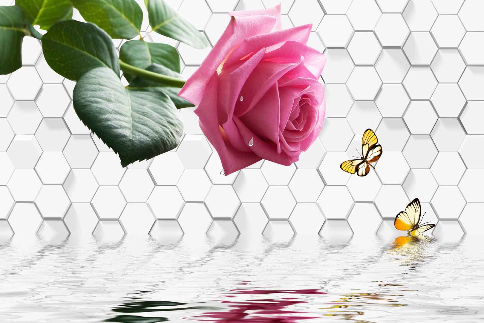 VIPcorel.com_11444.jpg