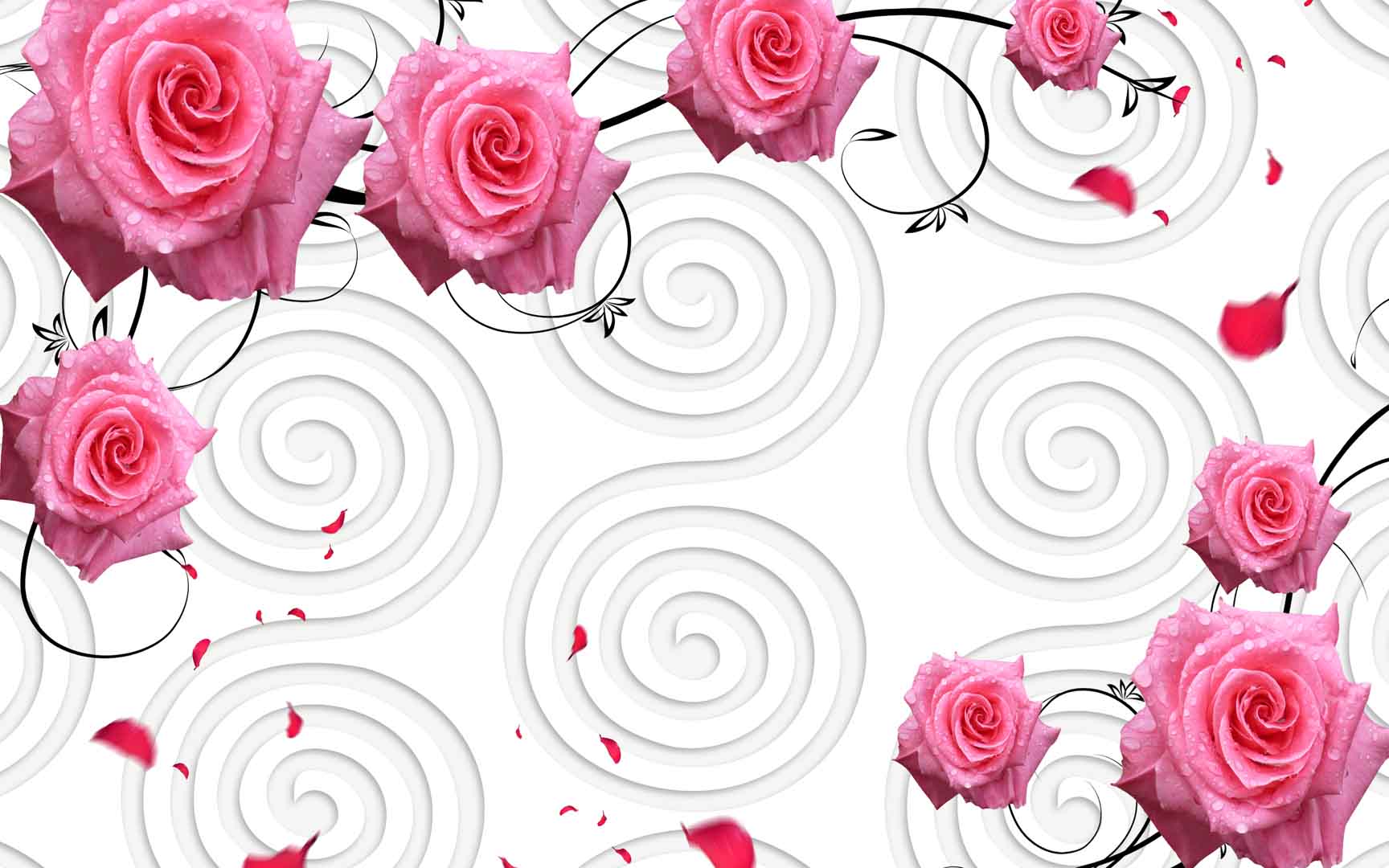 VIPcorel.com_11445.jpg