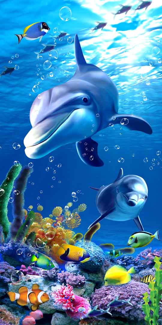 VIPcorel.com_11588.jpg