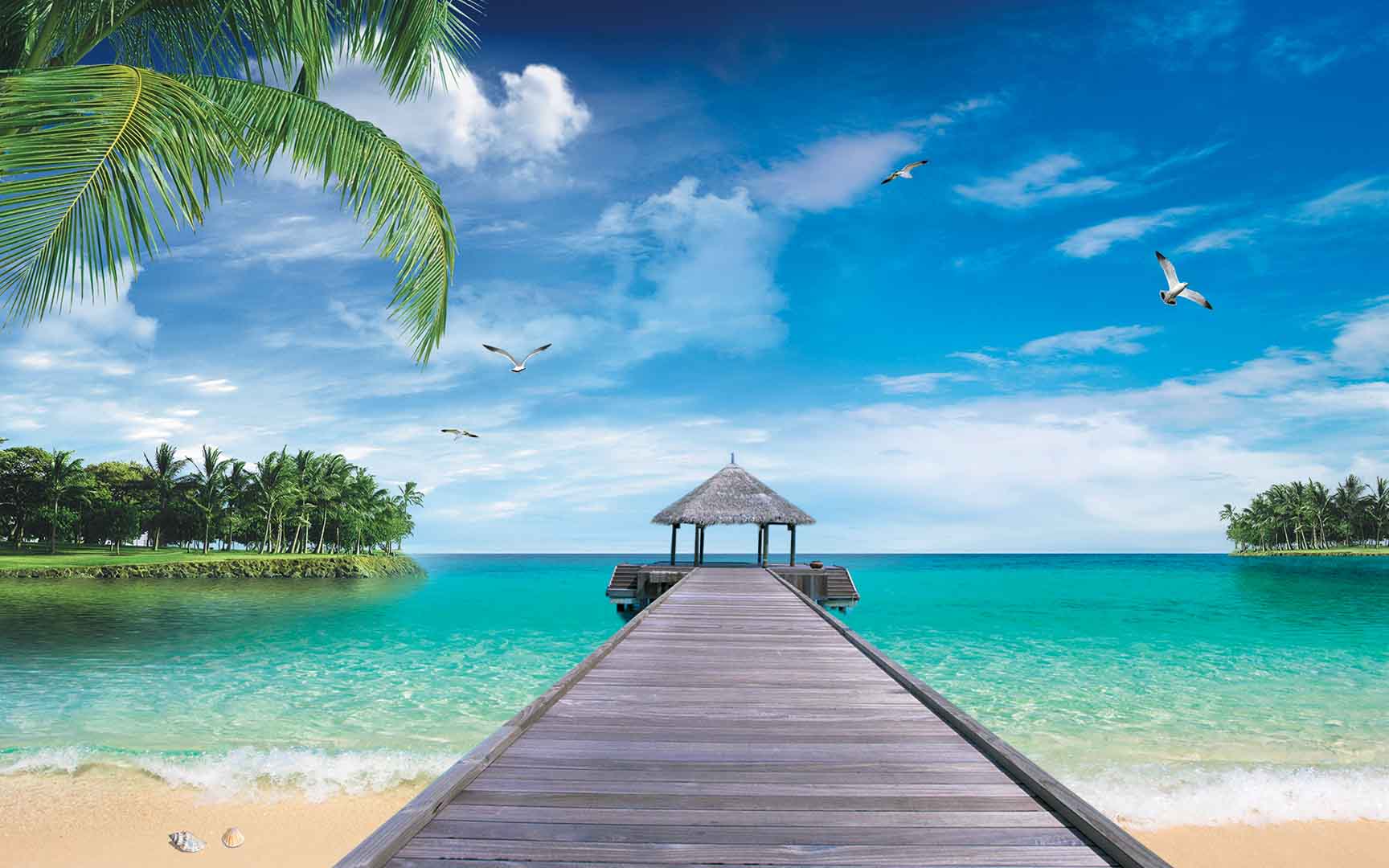 VIPcorel.com_11589.jpg