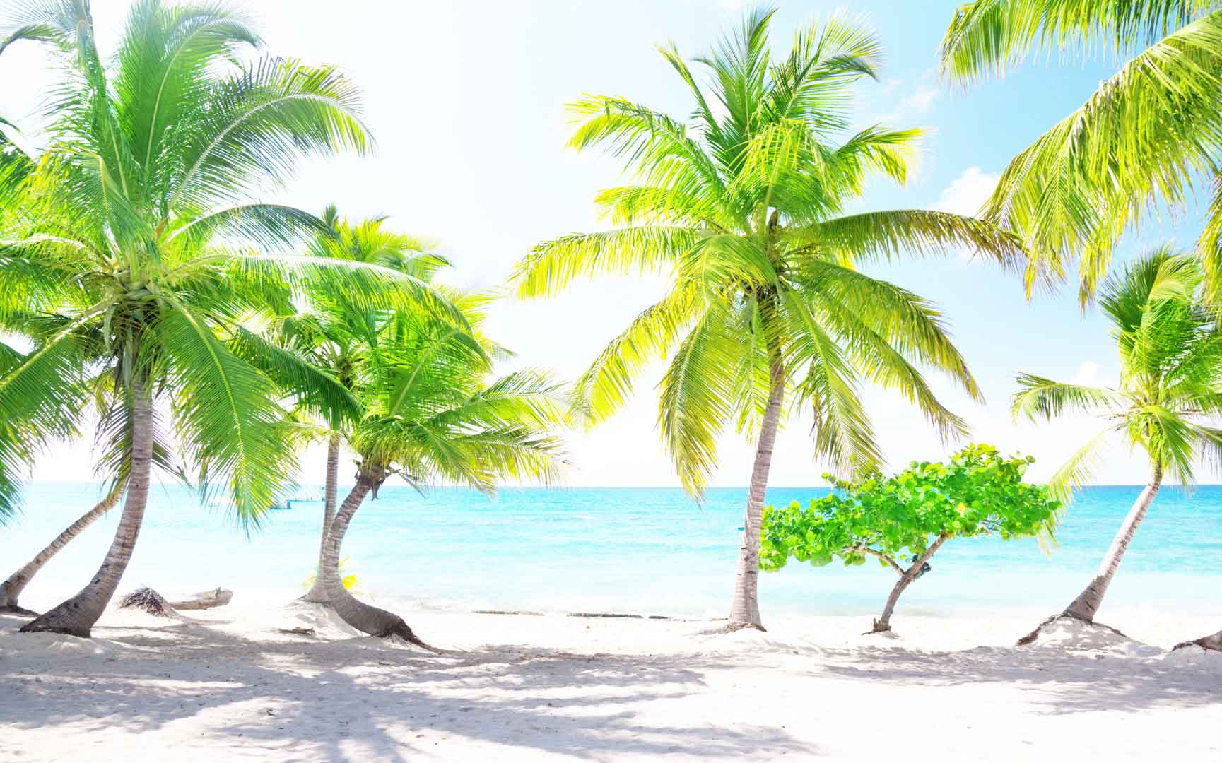 VIPcorel.com_11590.jpg