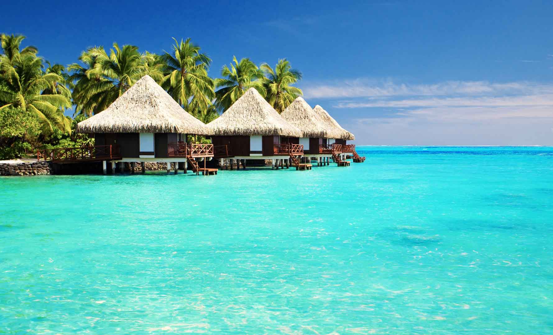 VIPcorel.com_11592.jpg