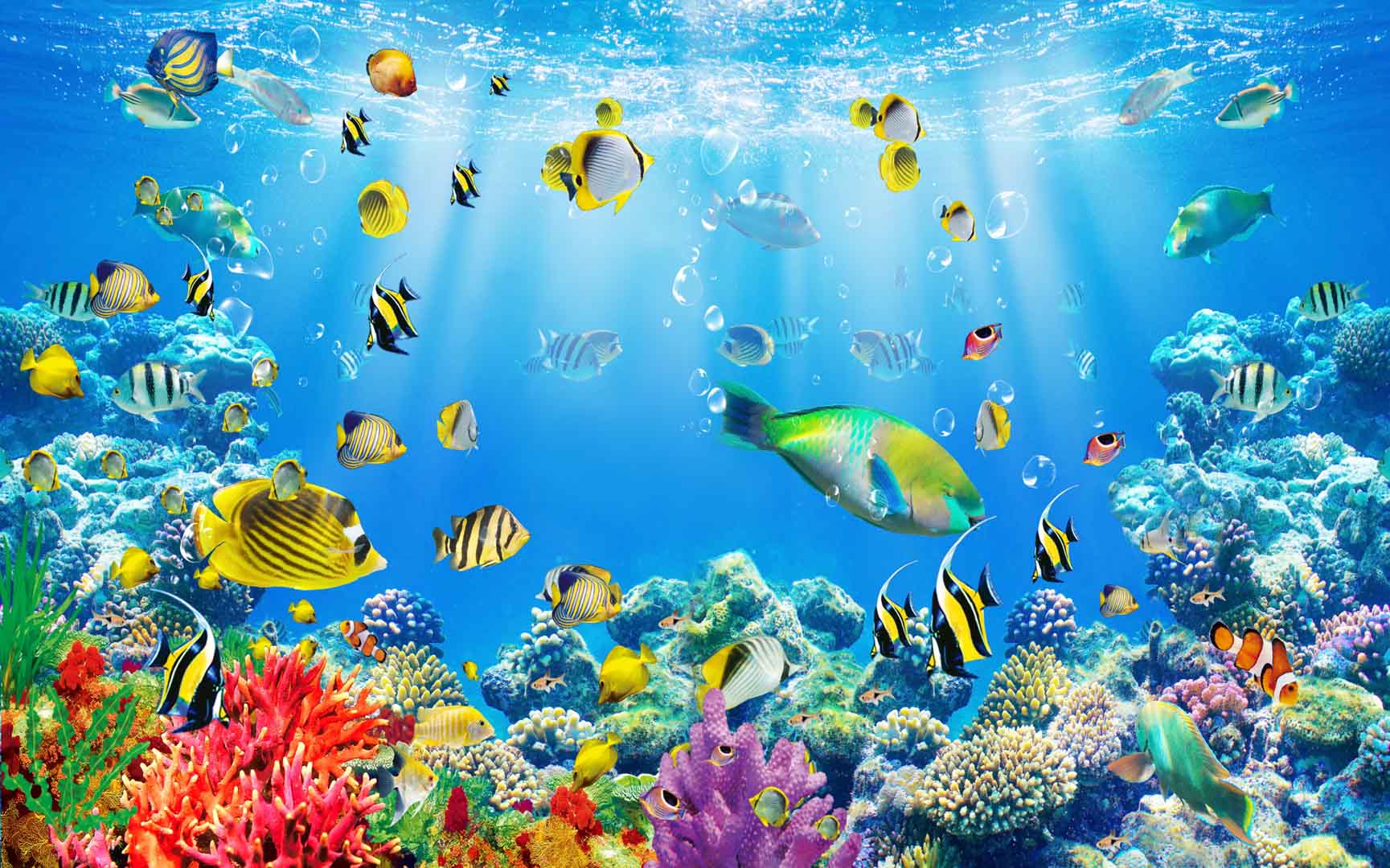 VIPcorel.com_11610.jpg