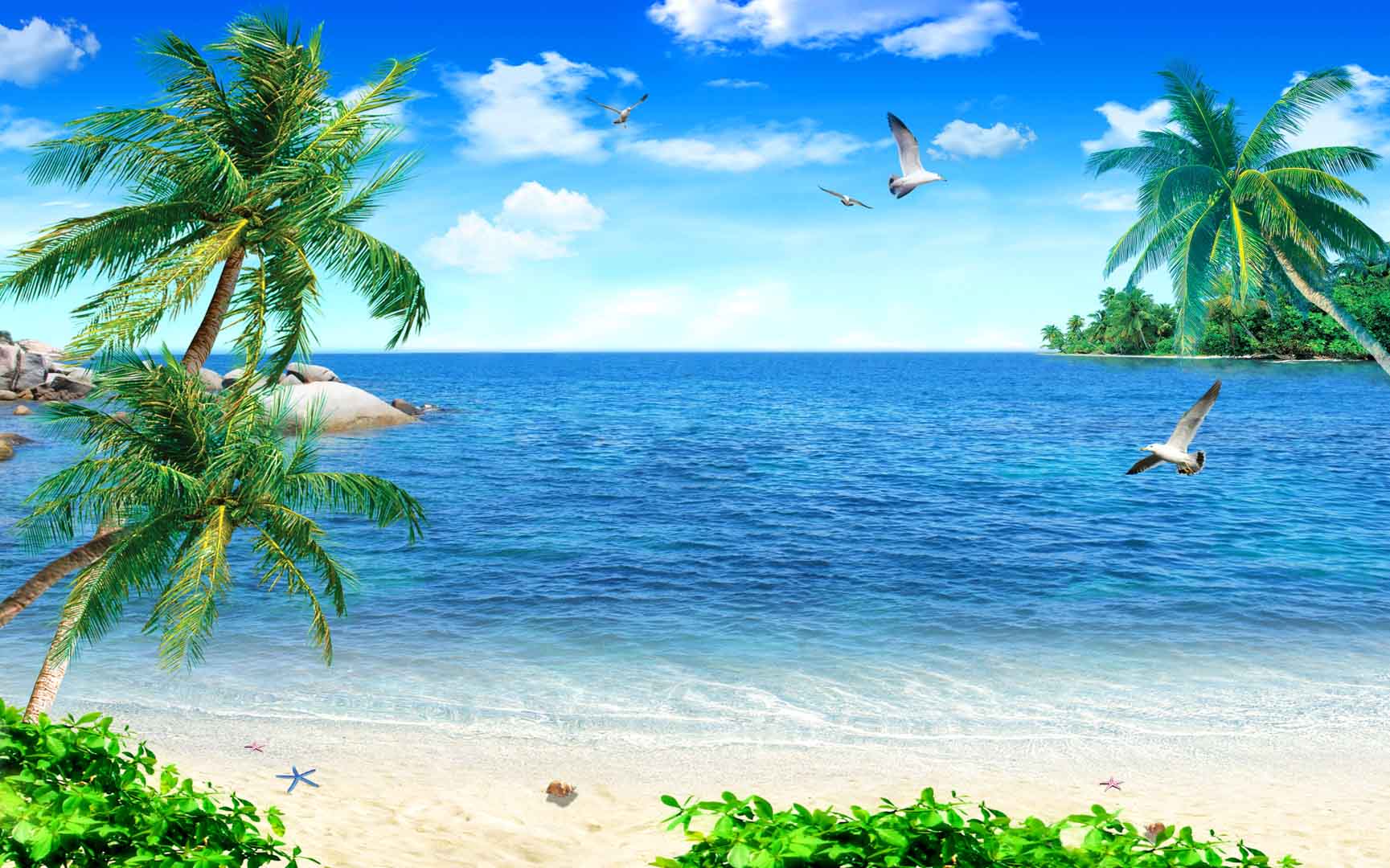 VIPcorel.com_11614.jpg