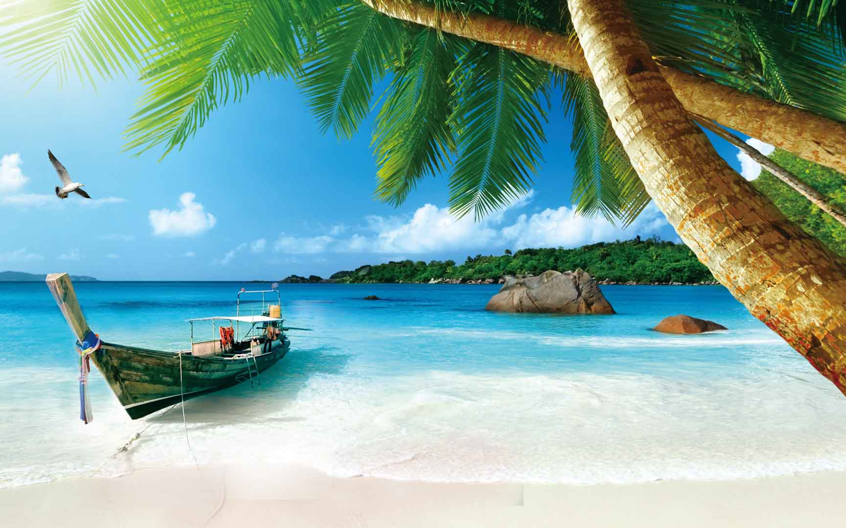 VIPcorel.com_11617.jpg