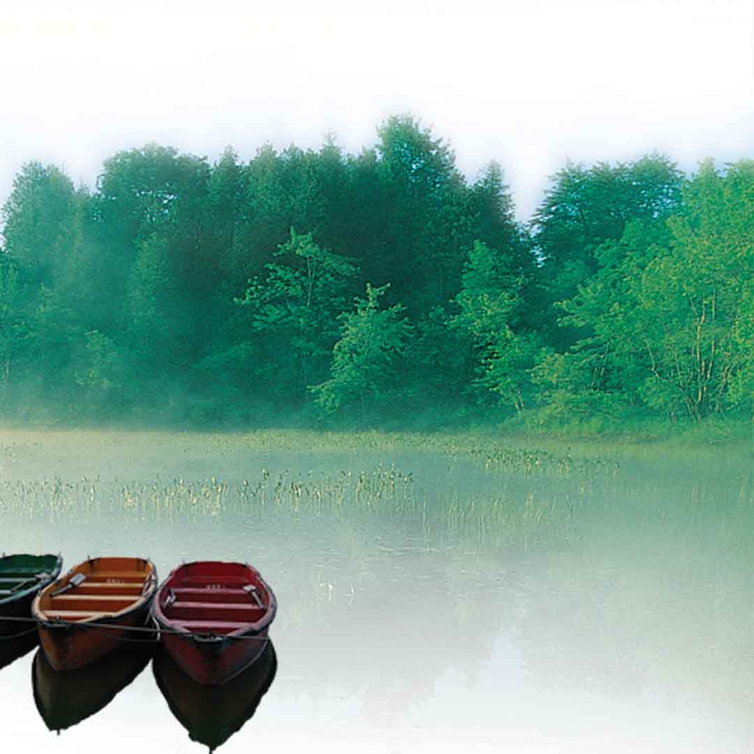 VIPcorel.com_11627d.jpg
