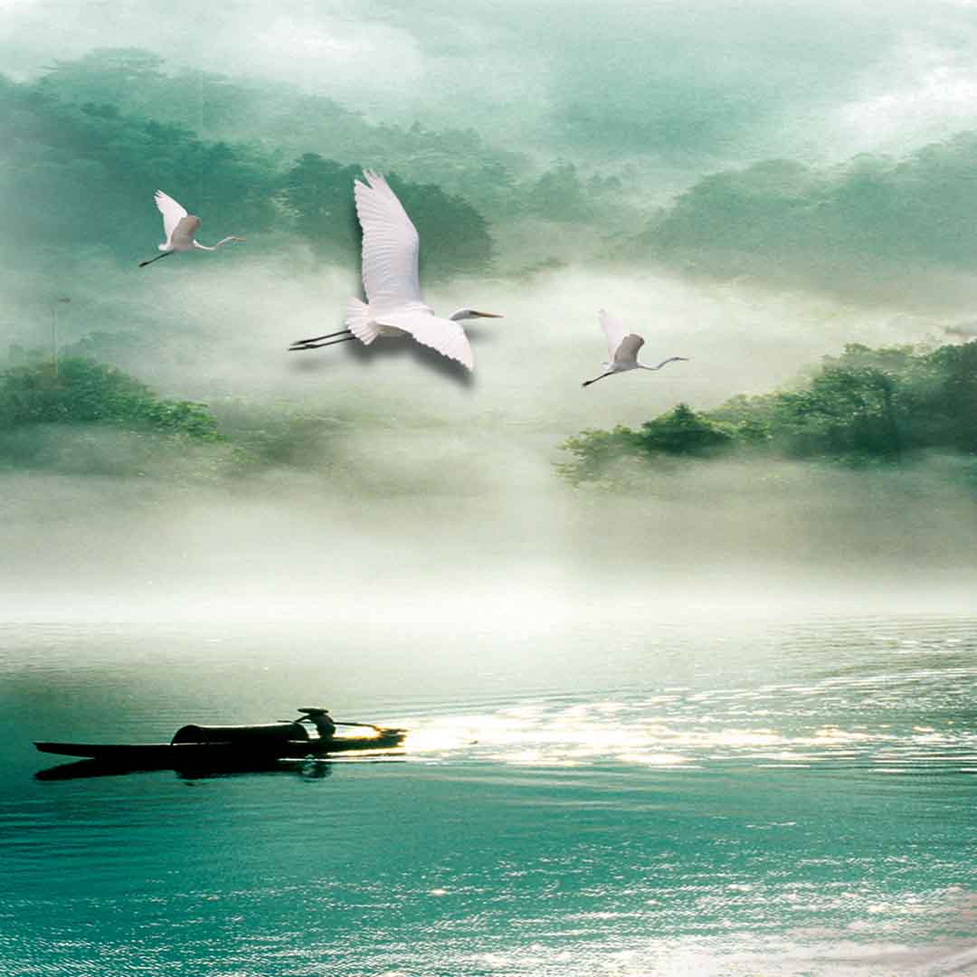 VIPcorel.com_11629c.jpg