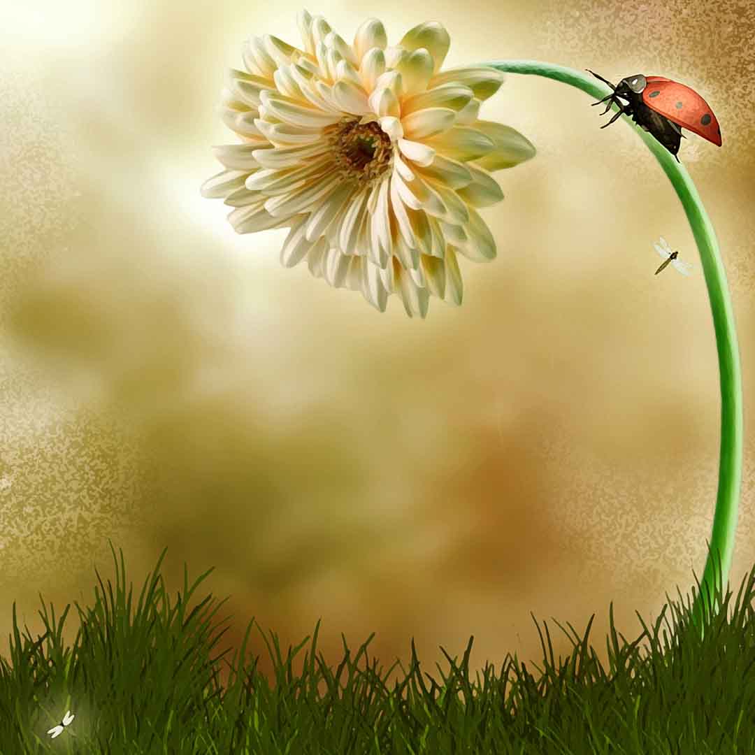 VIPcorel.com_11630b.jpg