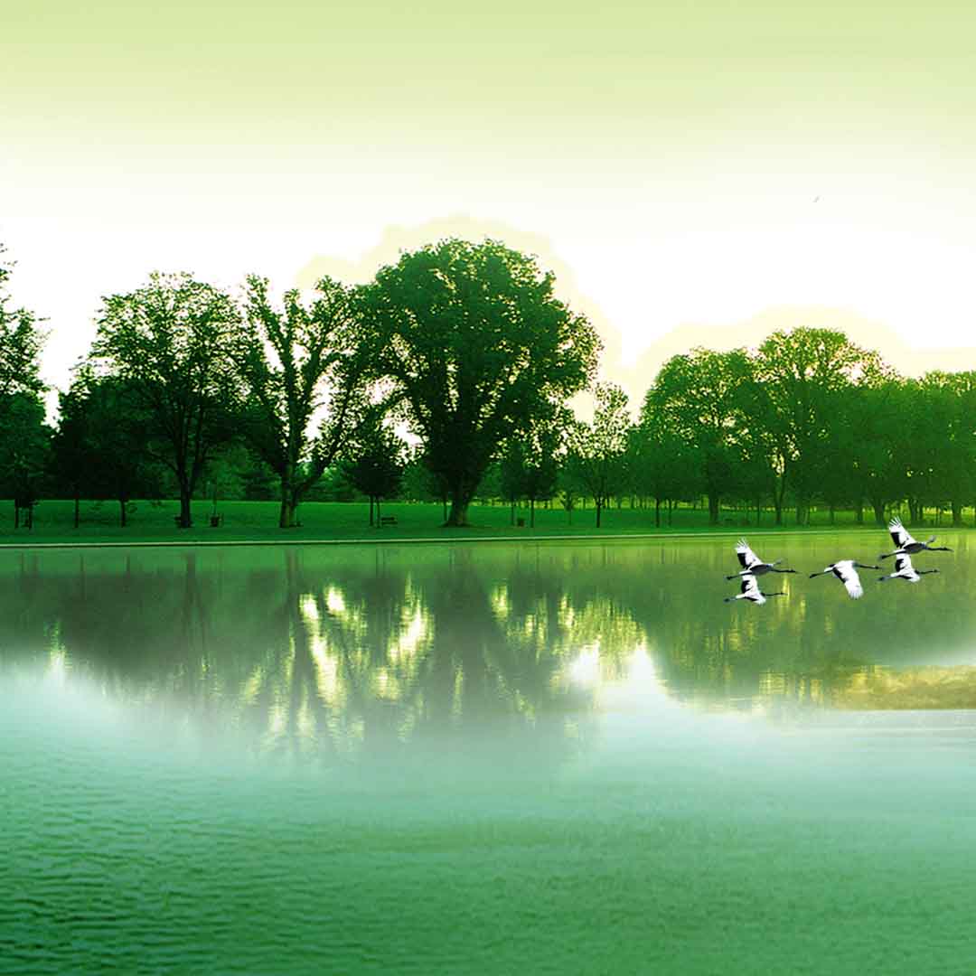 VIPcorel.com_11631b.jpg