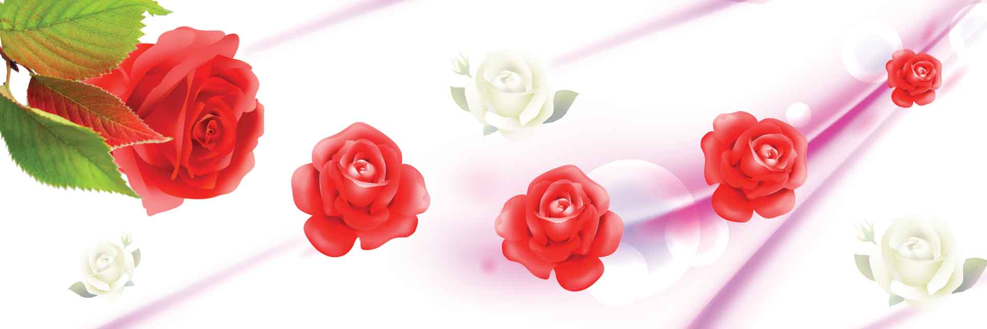 VIPcorel.com_11632b.jpg