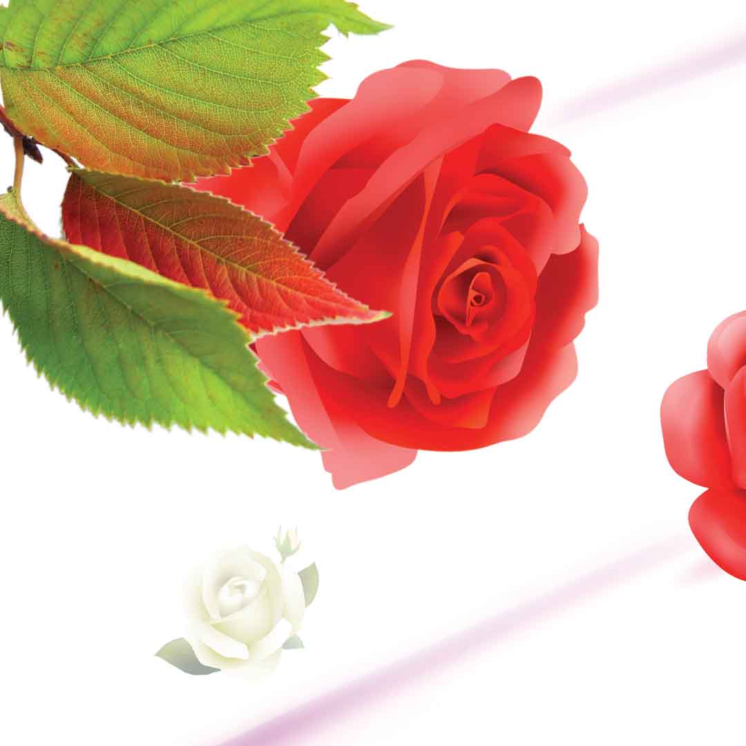 VIPcorel.com_11632c.jpg