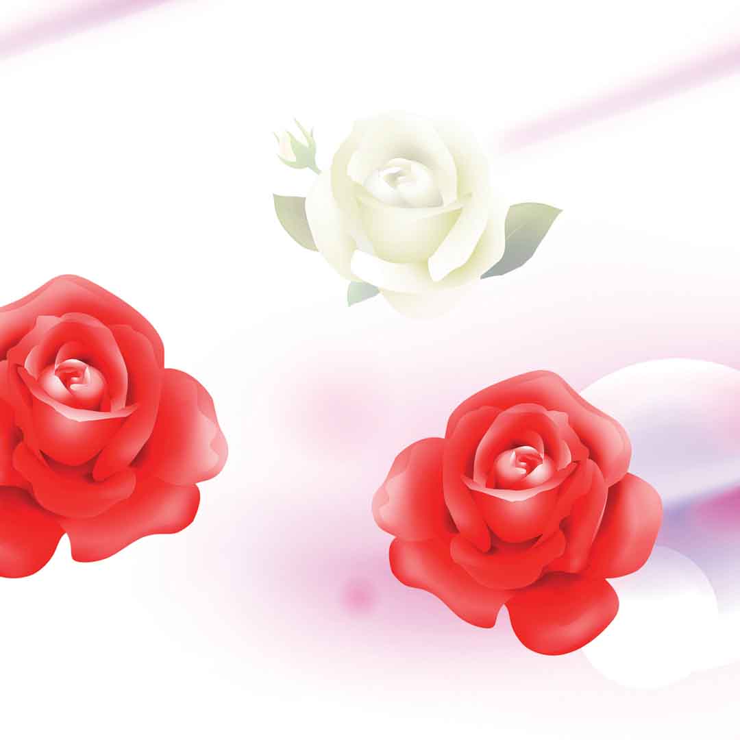 VIPcorel.com_11632d.jpg