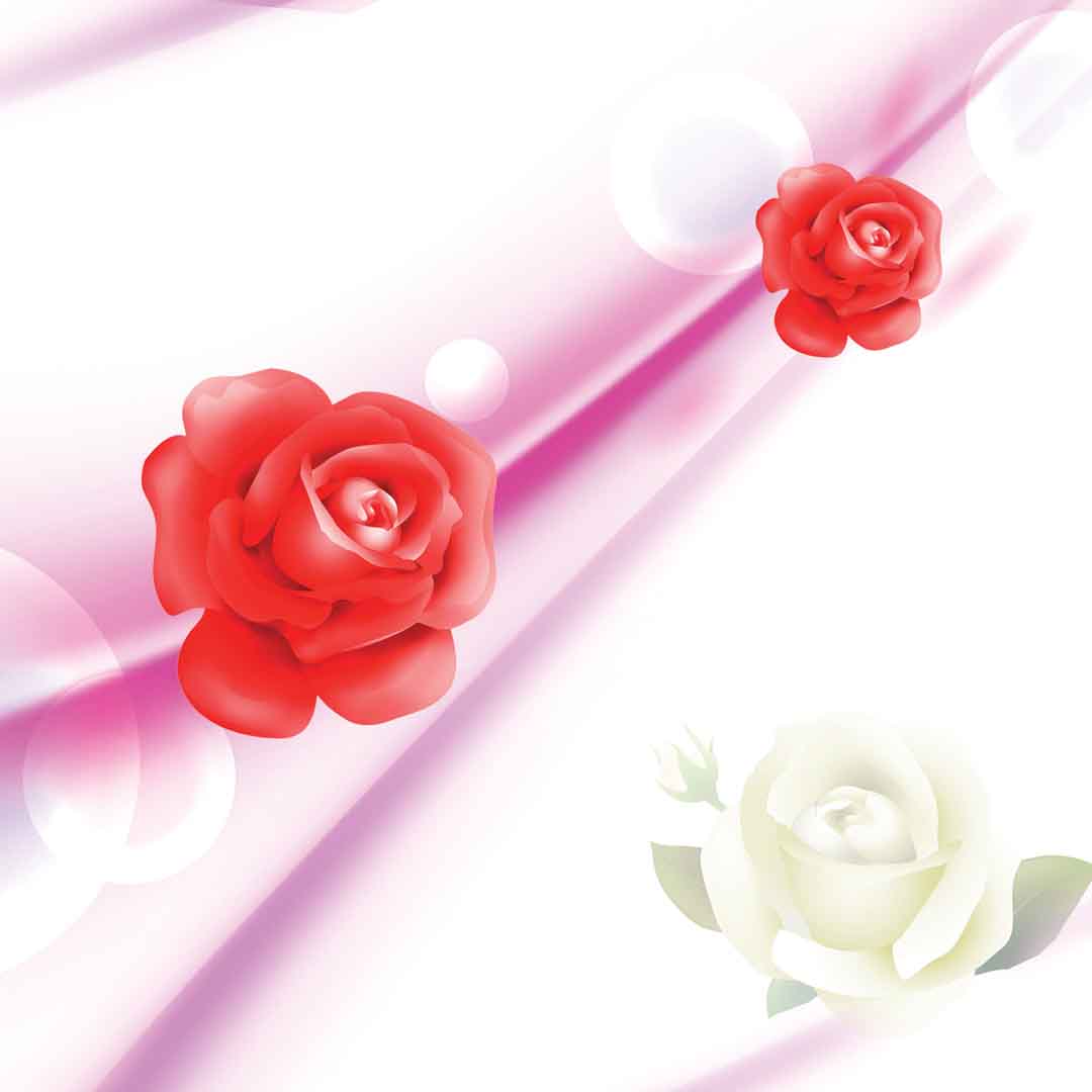 VIPcorel.com_11632e.jpg