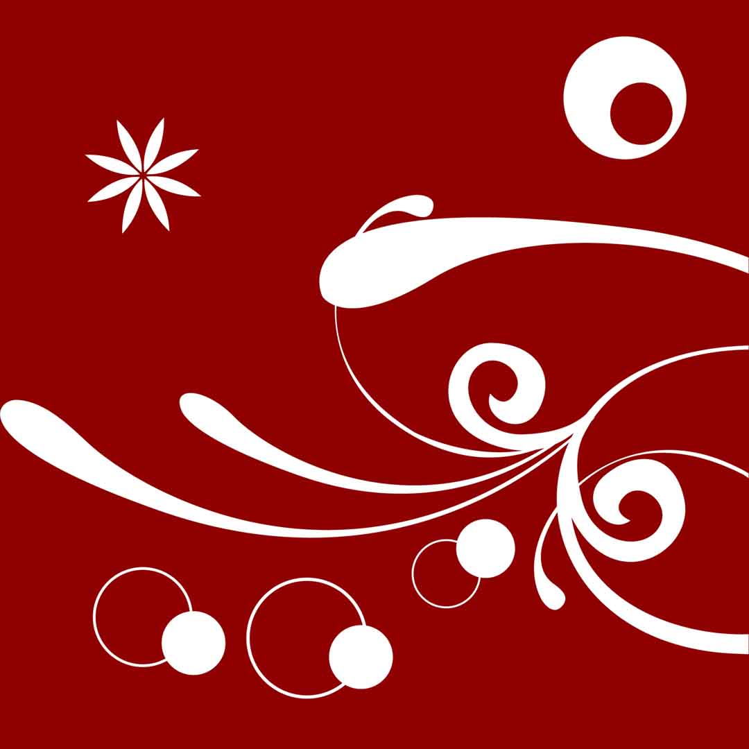 VIPcorel.com_11634b.jpg