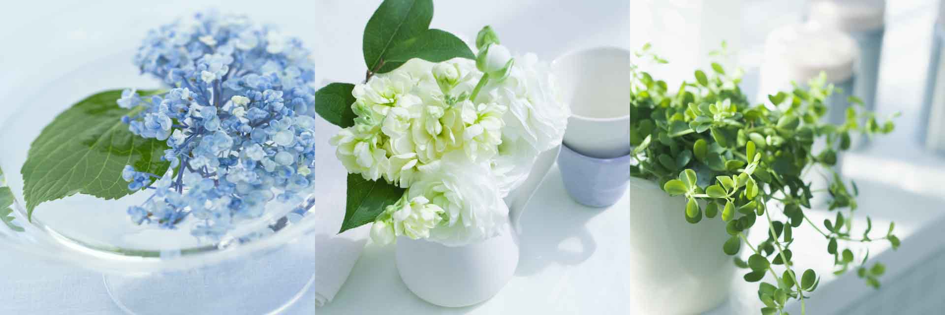 VIPcorel.com_11638a.jpg