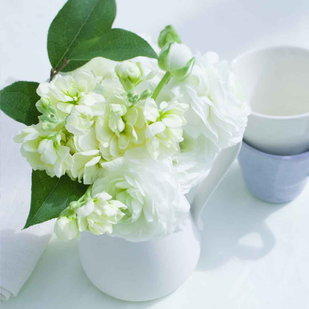 VIPcorel.com_11638c.jpg
