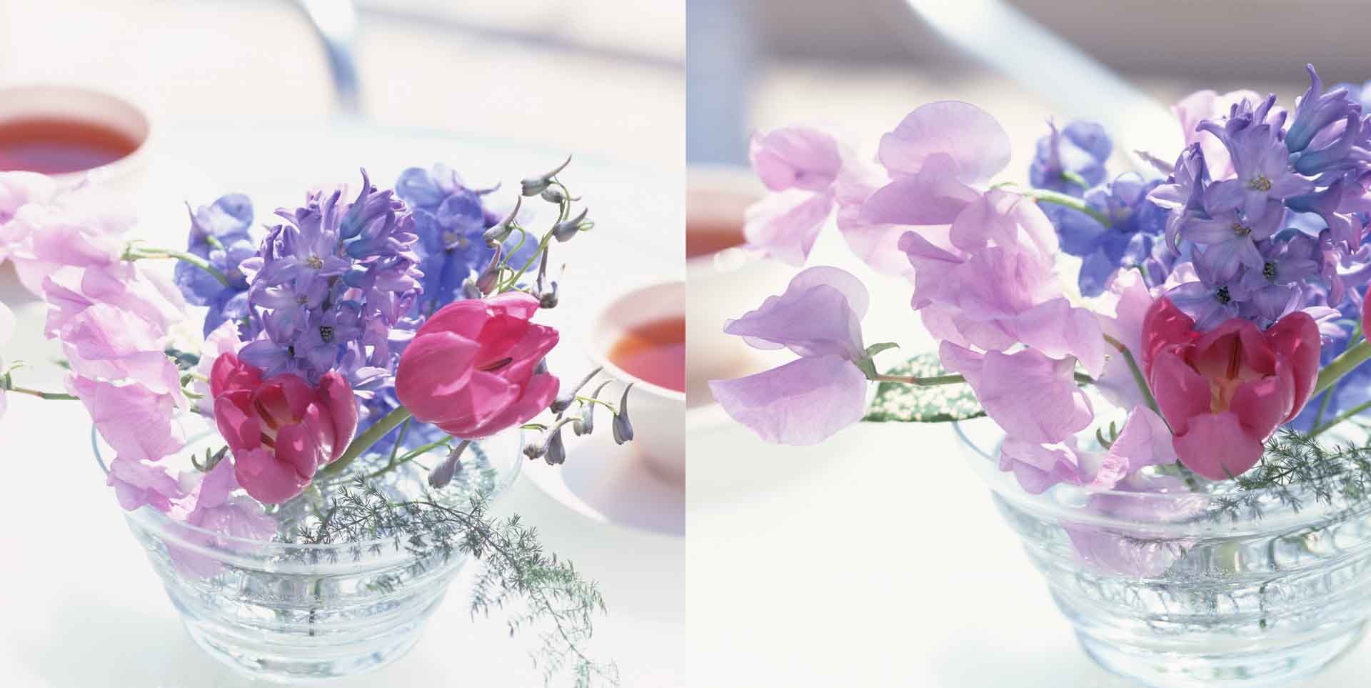 VIPcorel.com_11639a.jpg