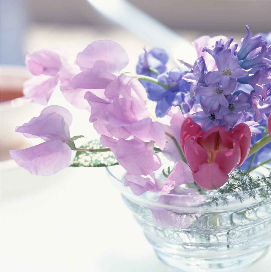 VIPcorel.com_11639c.jpg