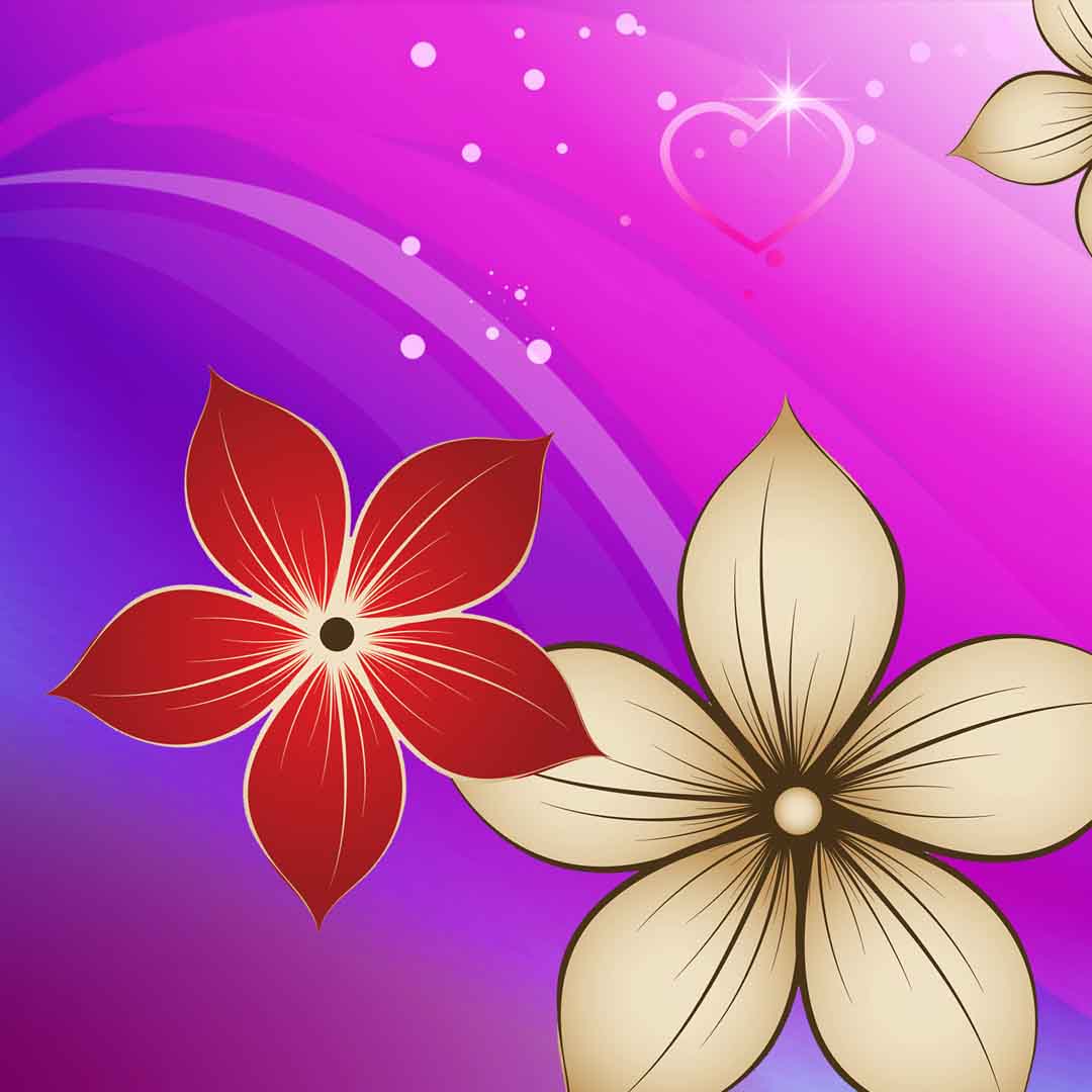 VIPcorel.com_11640b.jpg