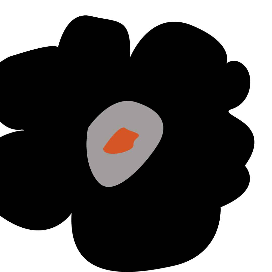 VIPcorel.com_11641d.jpg